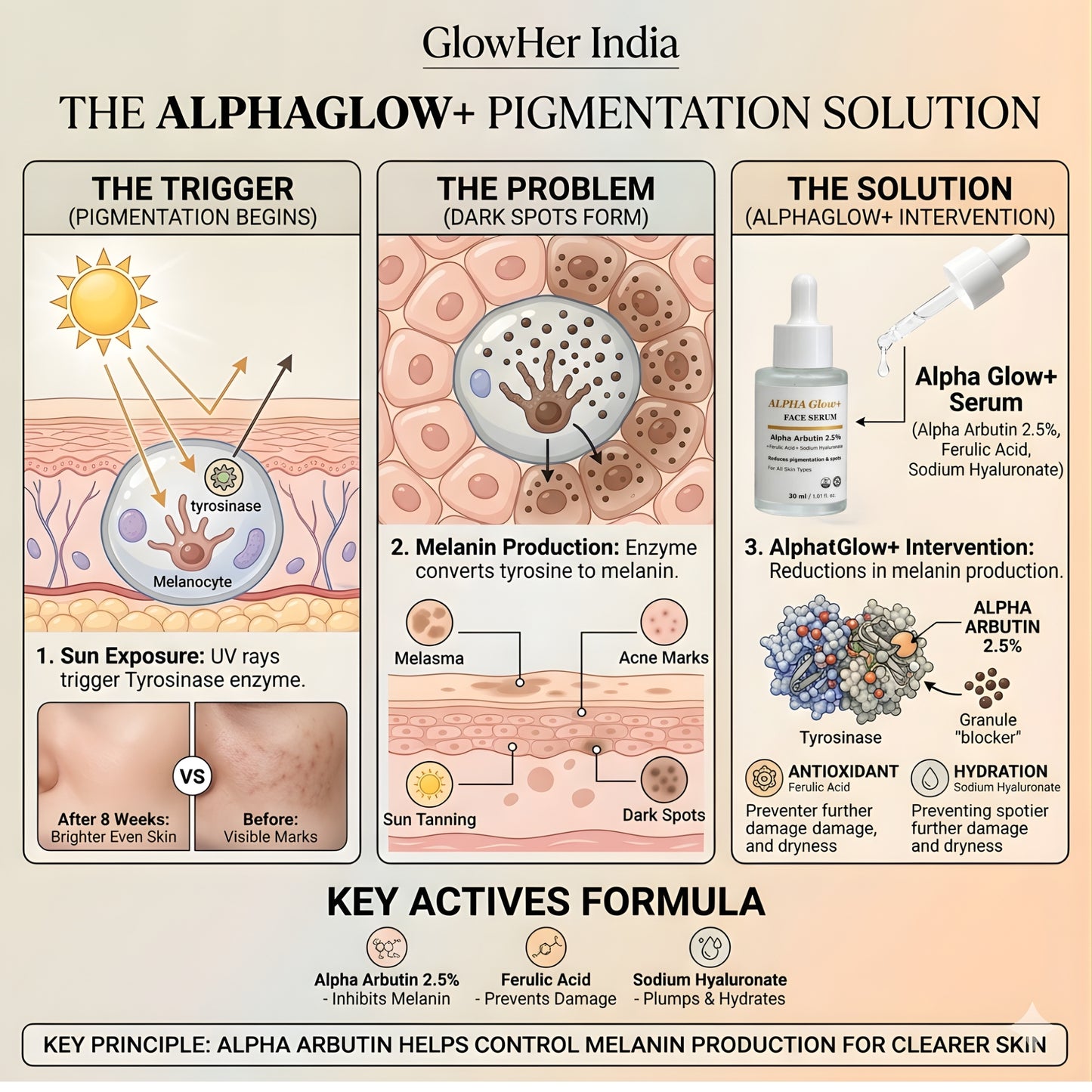 ALPHA Glow+ Face Serum
