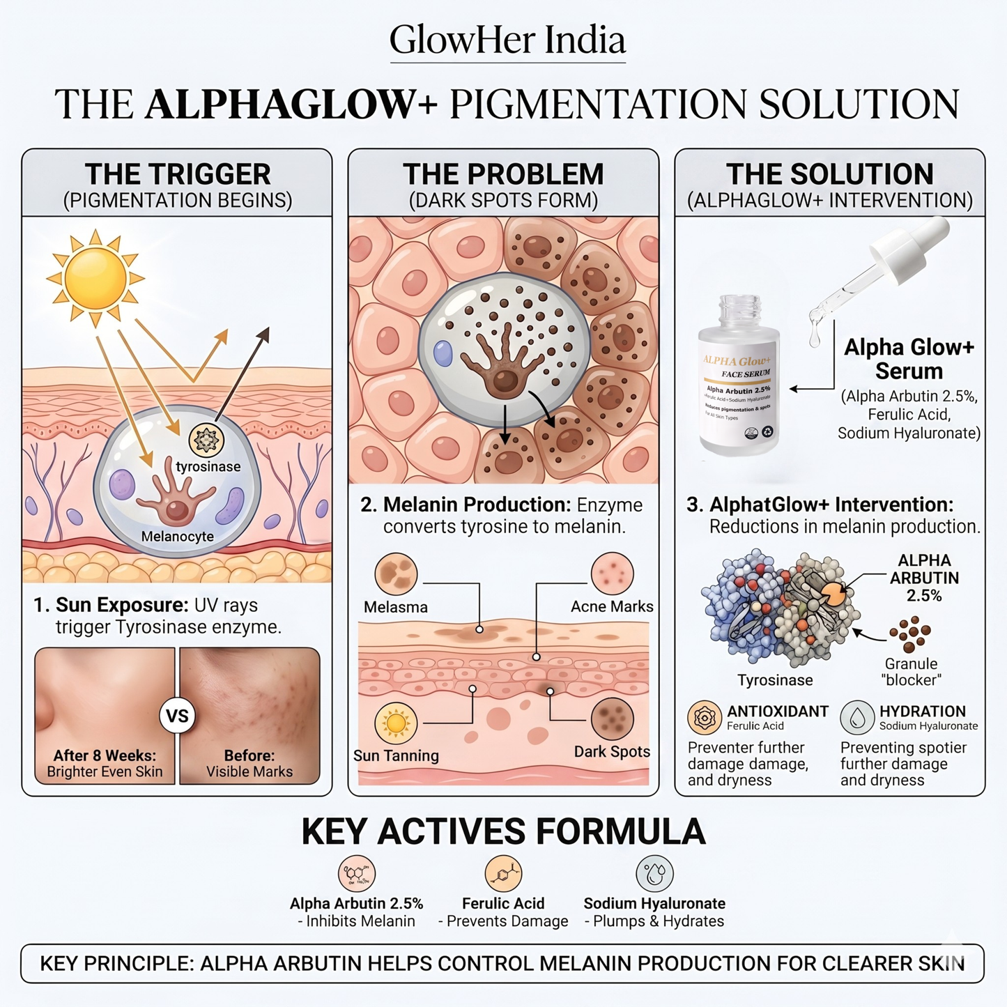 GlowHer India ALPHA Glow+ Face Serum (30ml)